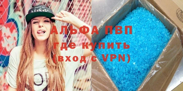 стафф Гусев
