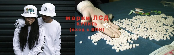 стафф Гусев