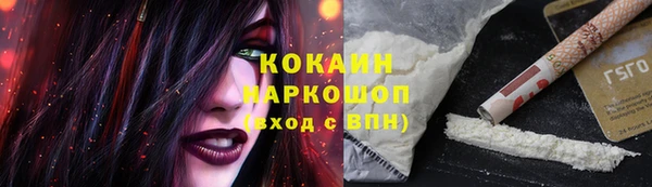 стафф Гусев