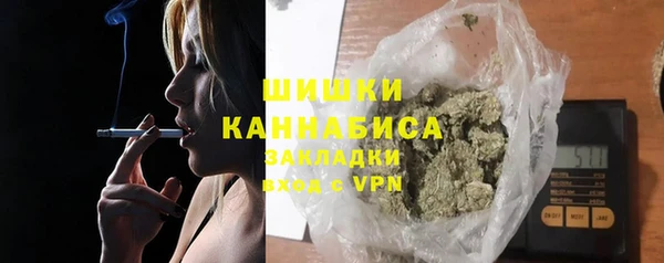 стафф Гусев