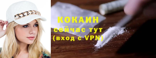 стафф Гусев