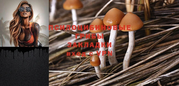стафф Гусев