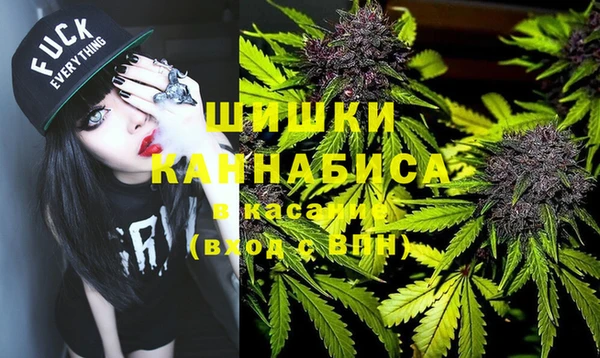 стафф Гусев