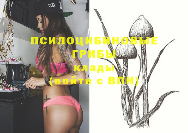 кокс Гусь-Хрустальный