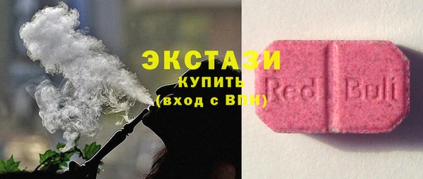 стафф Гусев
