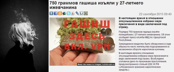 стафф Гусев