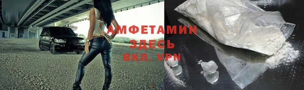 стафф Гусев