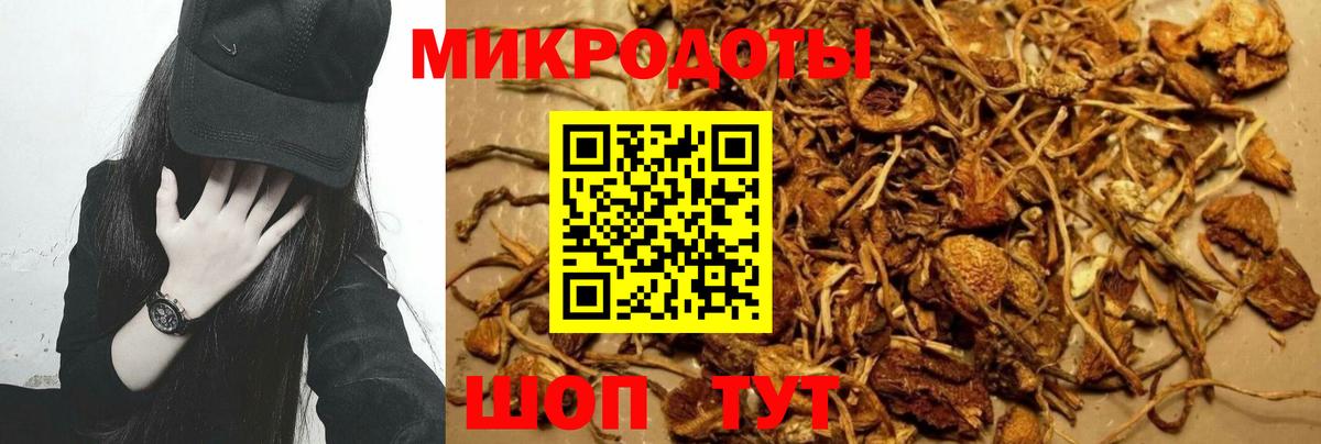 Псилоцибиновые грибы GOLDEN TEACHER  Вход с VPN  Саратов  сколько стоит  Псилоцибиновые грибы MAGIC MUSHROOMS 