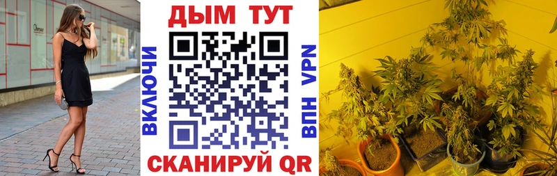 Бошки марихуана THC 21%  где можно купить наркотик  Саратов 